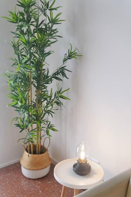 Apartamento Domus Piramide Roma