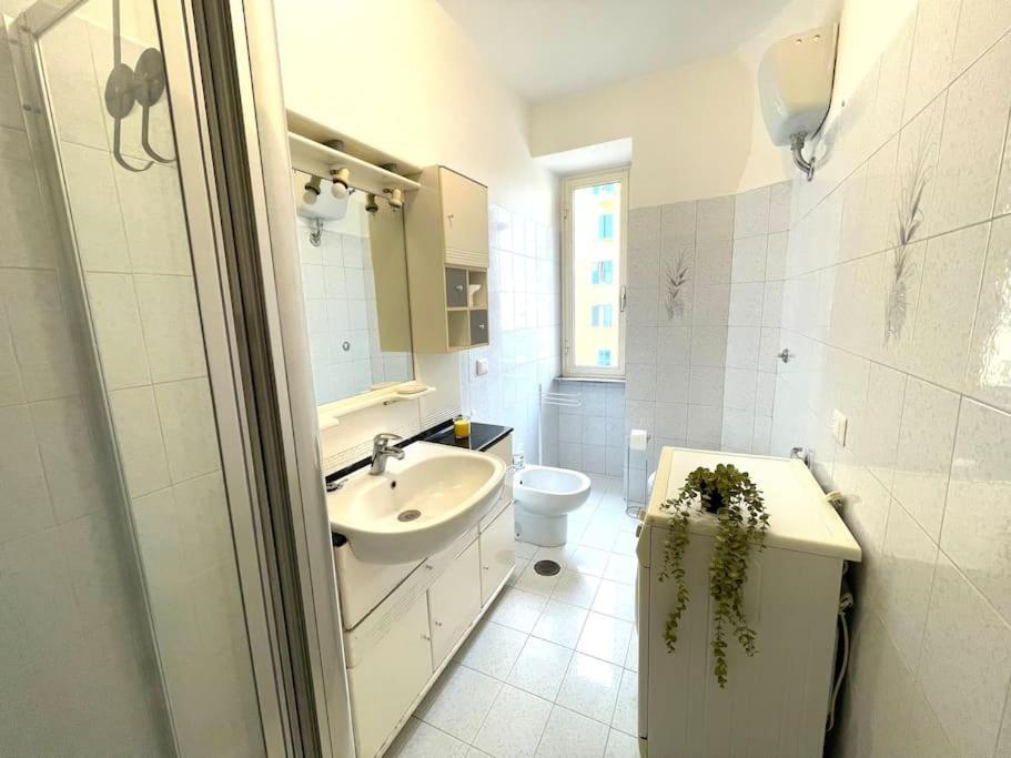 Apartamento Domus Piramide Roma